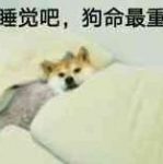 年月日 – 自己选择的悲剧，才是更为深刻的悲剧